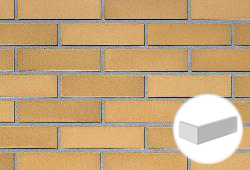  RIMINI gelb-bunt glatt NF (115/240x9x71) 