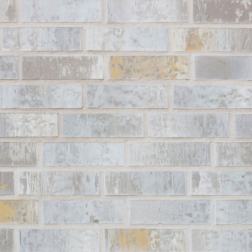   Roben LYON blaugrau  NF (240x115x71)